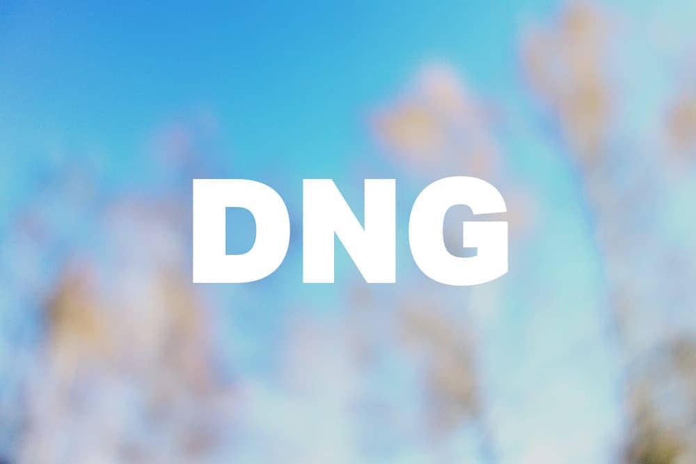 5 Reasons Why You Should Not Convert Your Raw Files to DNG
