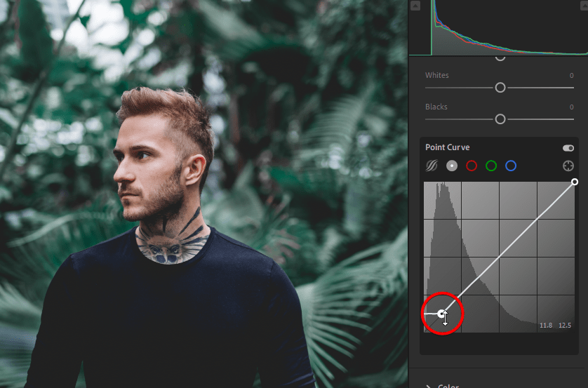 How to Create a Moody Jungle Green Look in Lightroom | Lightroom Tutorials