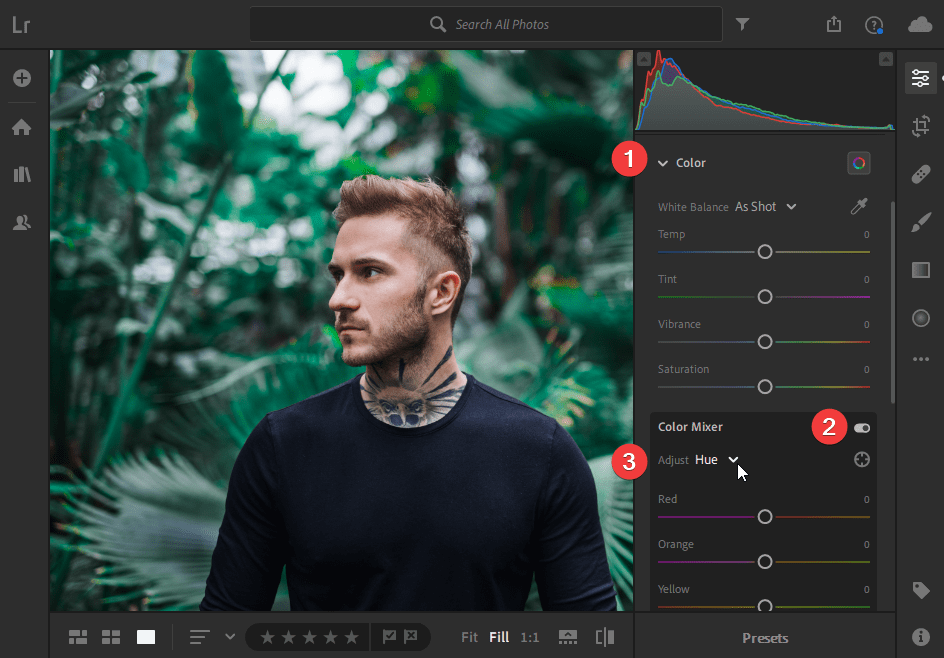 how to put my presets on lightroom